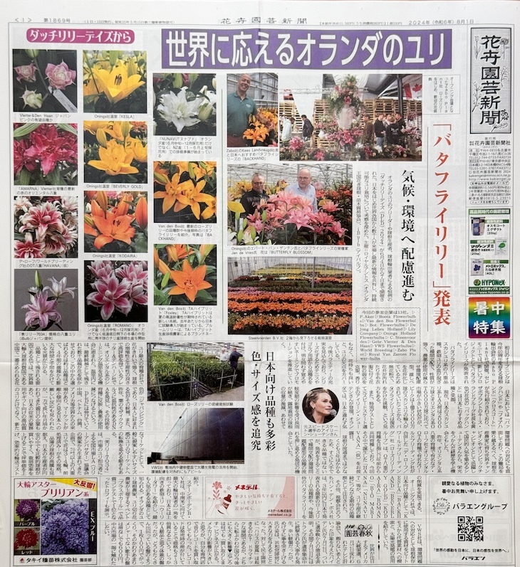 世界に応えるオランダのユリ（花卉園芸新聞　2024年8月1日版より）