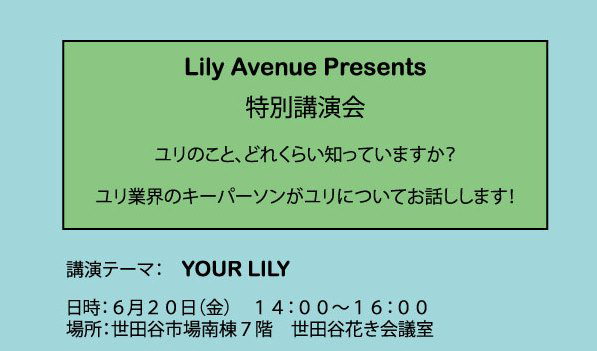 リリーアベニュー最終日特別講習会開催いたします（入場無料）