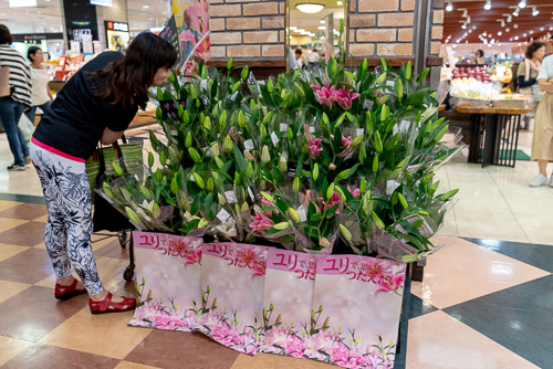 ユリの香りフェア in 小田急OX