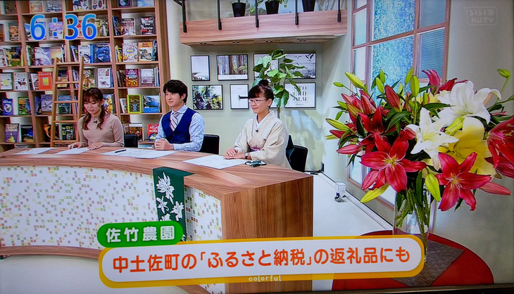 テレビ高知・情報パレット「からふる」に、リリーアンバサダー佐竹あずささん出演　