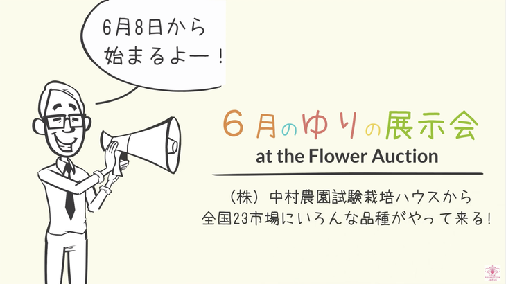 （株）中村農園「6月のゆりの展示会 at the Flower Auction」に全国市場LA協議会協力